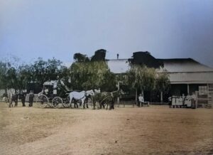 Charlie Mathews Coach at the Tindary Hotel 1906