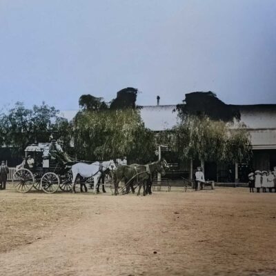 Charlie Mathews Coach at the Tindary Hotel 1906