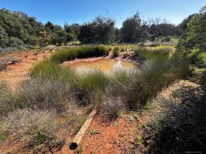 Location of The Peak Hotel