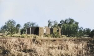 Ruins of Tindarey Hotel between Cobar & Bourke - 1931