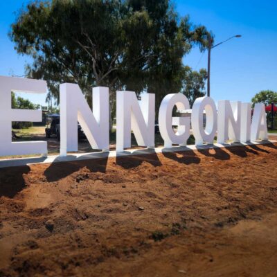 Enngonia