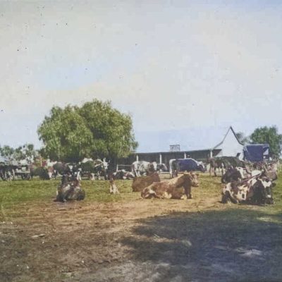 Lake Eliza Hotel - 1915
