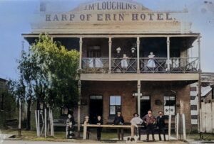 The Harp of Erin - Bourke